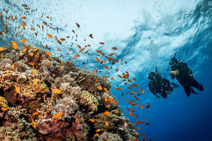 Grande Foto Di Un Gruppo Di Turisti In Immersione A Marsa Alam