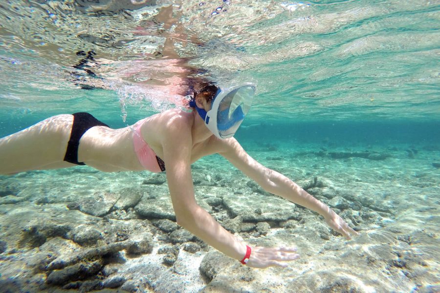 Grande Foto Di Una Persona Sulla Gita Di Snorkeling In Orange Bay