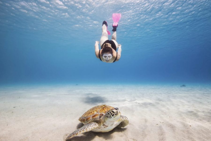 Grande Immagine Di Amarezza Snorkeling Sulla Spiaggia Di Abu Dabbab