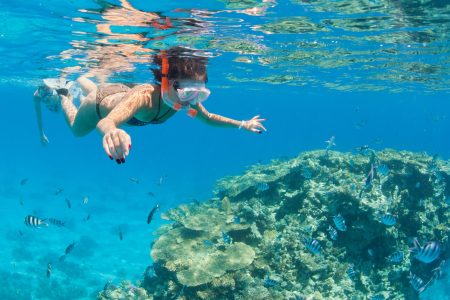 Grande Immagine Di Bella Donna Su Un Gita Di Snorkeling In Sharm El Naqah