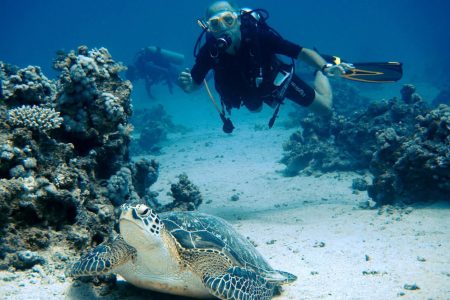 Grande Immagine Di Turisti In Immersione In Marsa Alam