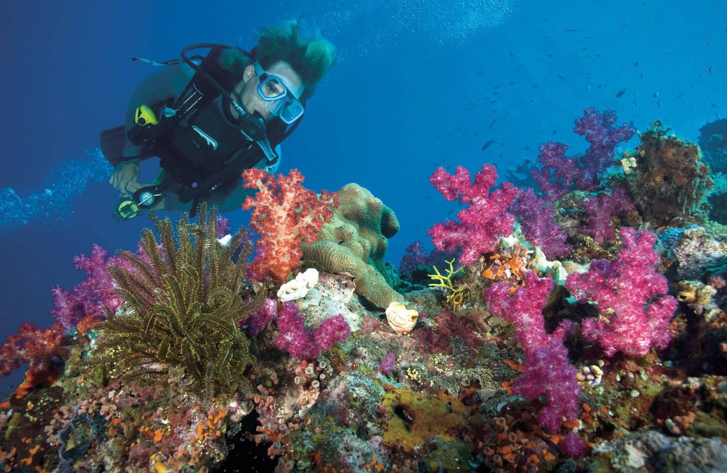 Immagine Di Un Immersione Nelle Acque Del Mar Rosso