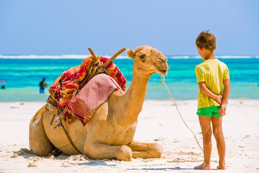 Un Bambino Con Un Cammello Dalle Spiagge Di Hurghada