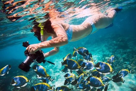 Una Bellissima Immagine Di Donna Subacquea Che Fa Fotografie Di Pesce E Corallo In Sharm El Naga