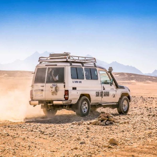 uno scatto meraviglioso di un auto aquattro ruote drive da uno dei meravigliosi viaggi safari 1