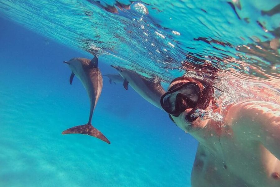 Snorkeling alla barriera corallina di Satayah da Marsa Alam