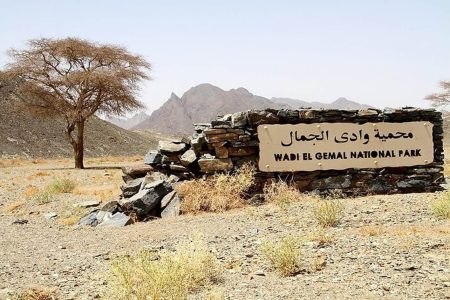 Safari nel deserto del Parco Nazionale di Wadi El Gemal